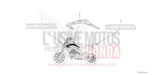 RAYURE/MARQUE CRF110FP de 2023